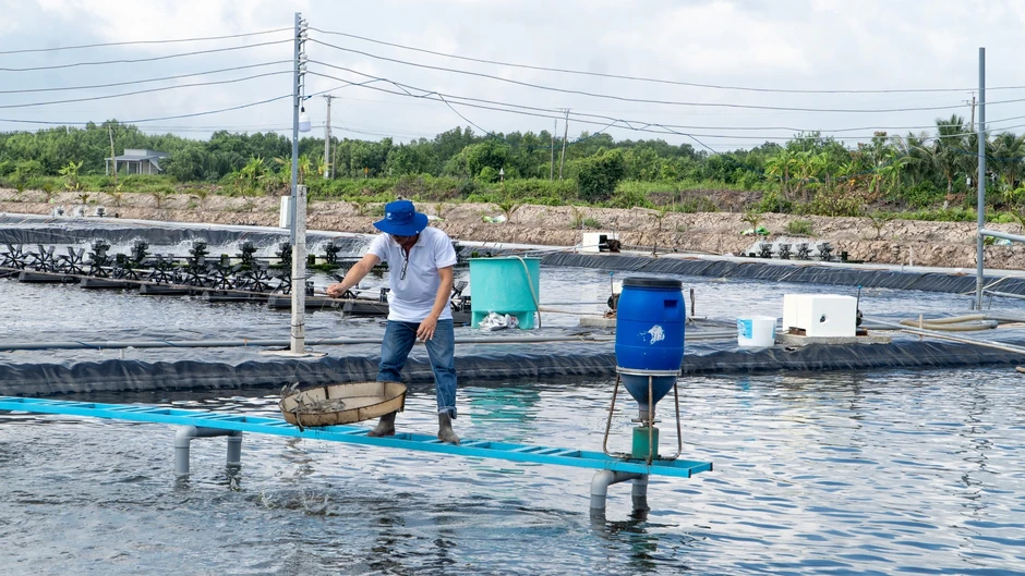 Nông nghiệp là trụ đỡ trong khủng hoảng Nông nghiệp là trụ đỡ trong khủng hoảng