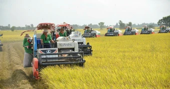 Nông nghiệp là trụ đỡ trong khủng hoảng