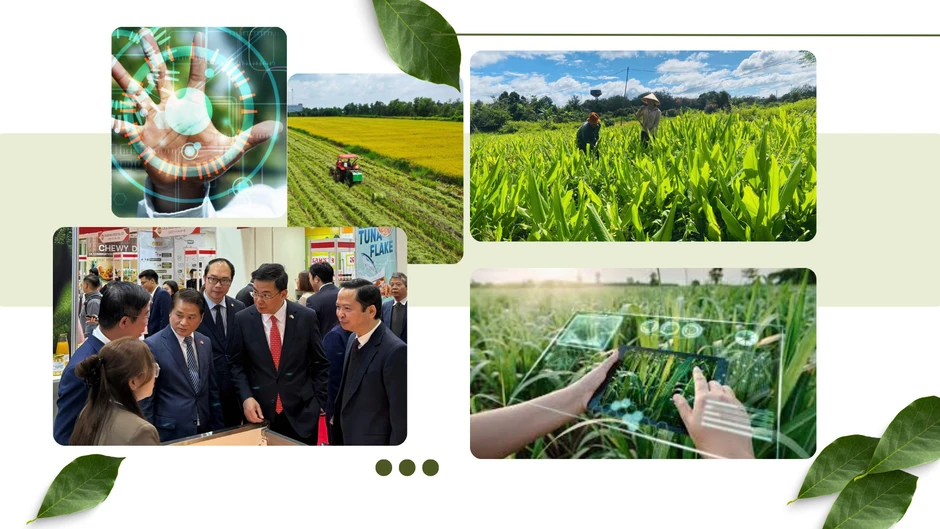 Nông nghiệp Việt Nam chủ động kiến tạo thị trường theo mô hình tăng trưởng xanh, giảm phát thải