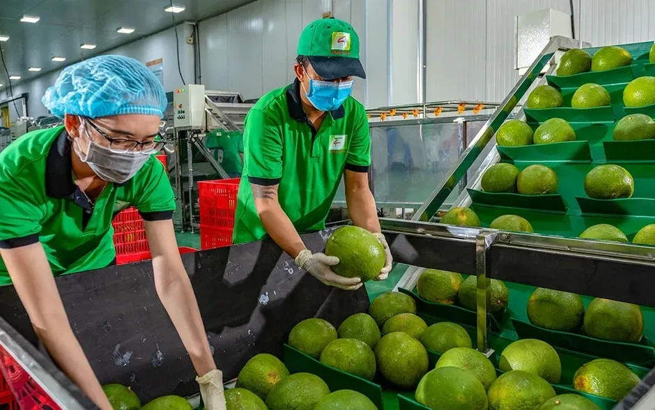 Nông nghiệp Việt Nam trước “phép thử” Trung Đông: Chủ động ứng phó để giữ vững đà tăng trưởng Nông nghiệp Việt Nam trước “phép thử” Trung Đông: Chủ động ứng phó để giữ vững đà tăng trưởng