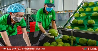 Nông nghiệp Việt Nam trước “phép thử” Trung Đông: Chủ động ứng phó để giữ vững đà tăng trưởng