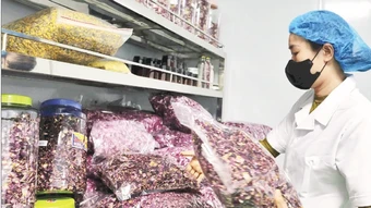 Nông sản đáp ứng tốt hơn nhu cầu thị trường