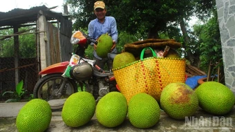 Nông sản Đồng Tháp trước thách lớn của thị trường nhập khẩu