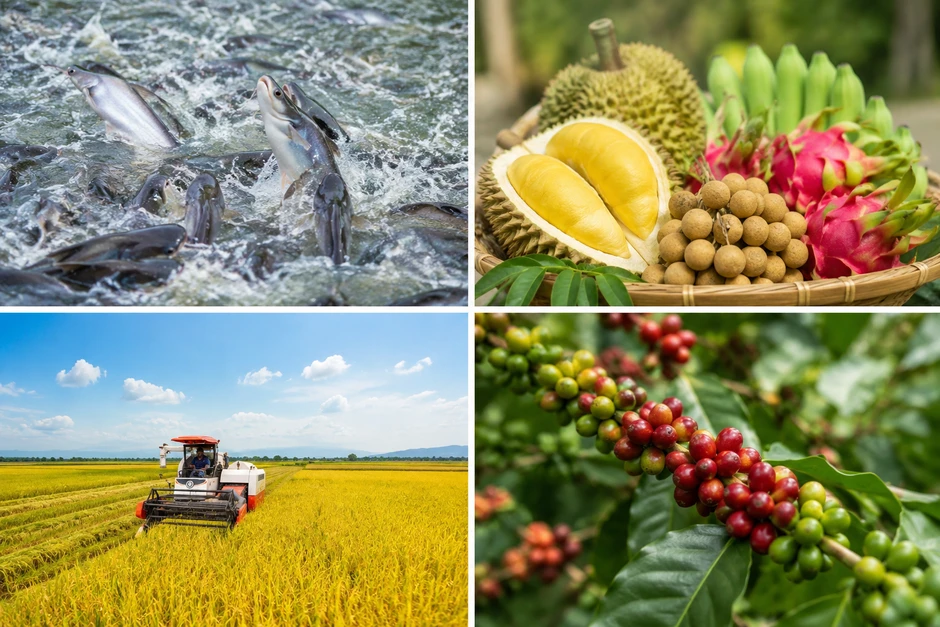 Nông sản Việt 2026 - Bài 1: Áp lực tăng trưởng và sự lệch pha trong giá trị xuất khẩu Nông sản Việt 2026 - Bài 1: Áp lực tăng trưởng và sự lệch pha trong giá trị xuất khẩu