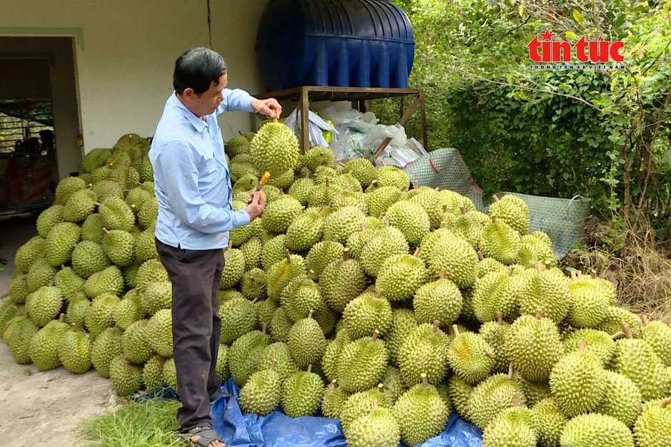 Nông sản Việt 2026 - Bài 1: Áp lực tăng trưởng và sự lệch pha trong giá trị xuất khẩu Nông sản Việt 2026 - Bài 1: Áp lực tăng trưởng và sự lệch pha trong giá trị xuất khẩu