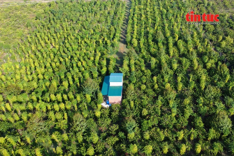 Nông sản Việt 2026 - Bài 1: Áp lực tăng trưởng và sự lệch pha trong giá trị xuất khẩu Nông sản Việt 2026 - Bài 1: Áp lực tăng trưởng và sự lệch pha trong giá trị xuất khẩu