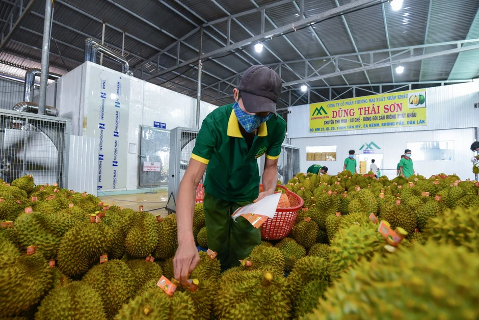 Nông sản Việt chinh phục thị trường Trung Quốc bằng cách nào? Nông sản Việt chinh phục thị trường Trung Quốc bằng cách nào?