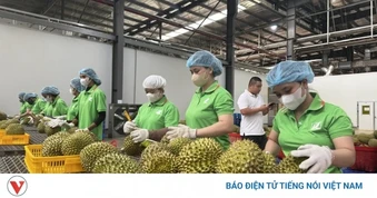 Nông sản Việt gấp rút thích ứng Nghị định 280 của Trung Quốc từ 1/6/2026
