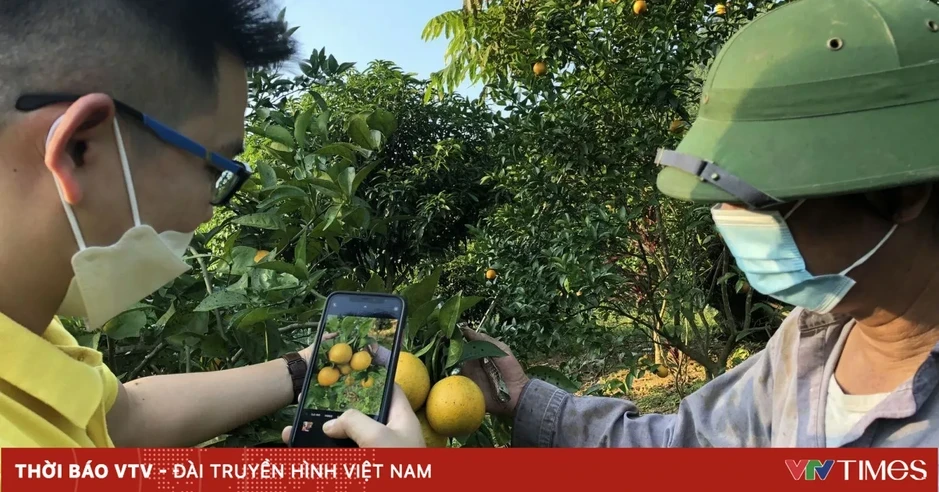 Nông sản Việt tăng tốc lên sàn thương mại điện tử Nông sản Việt tăng tốc lên sàn thương mại điện tử