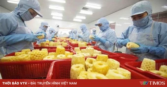 Nông sản Việt ứng phó biến động logistics