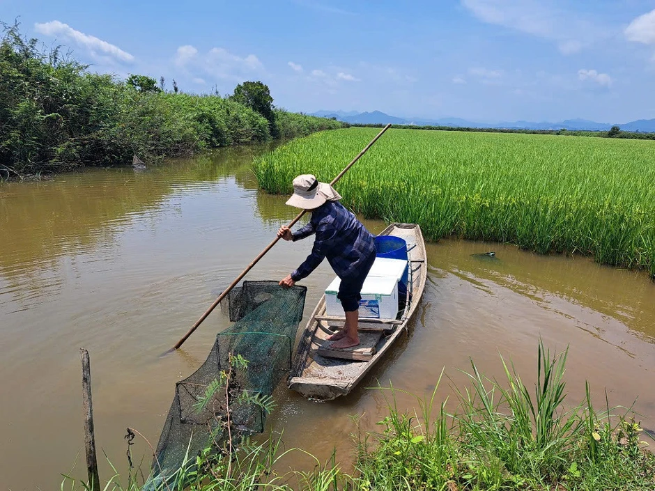 Nuôi tôm càng xanh ‘vượt lũ’ ở Quảng Trị, 5 ha mang về hơn 2,3 tỷ đồng mỗi năm Nuôi tôm càng xanh ‘vượt lũ’ ở Quảng Trị, 5 ha mang về hơn 2,3 tỷ đồng mỗi năm