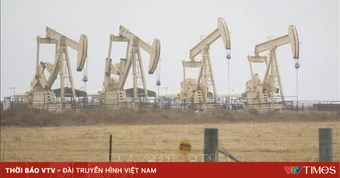 OPEC hạ dự báo tăng trưởng nhu cầu dầu toàn cầu