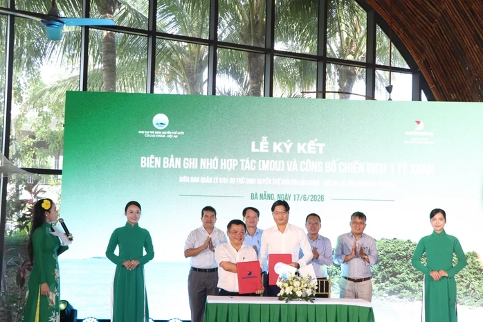 Phát động chiến dịch "1 Tỷ Xanh" tại Đà Nẵng Phát động chiến dịch "1 Tỷ Xanh" tại Đà Nẵng