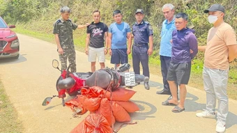 Phát hiện và thu giữ 6 bao tải chứa 59,2kg vảy nghi của tê tê tại Cao Bằng