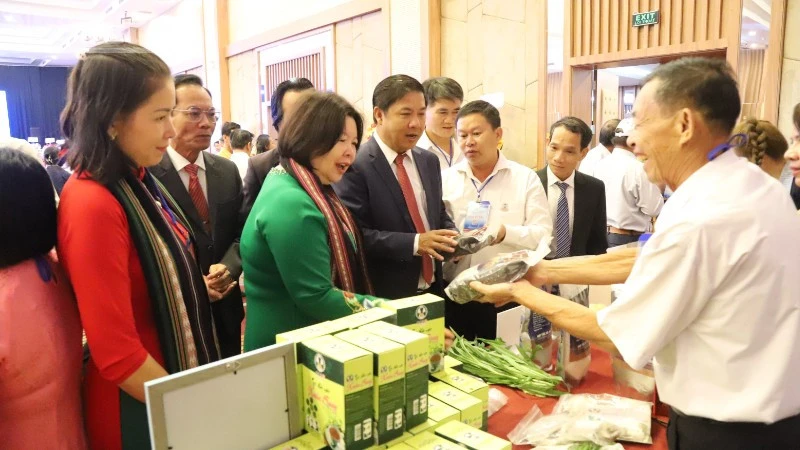 Phát huy vai trò kinh tế tập thể, hợp tác xã, góp phần xây dựng tỉnh Đắk Lắk phát triển nhanh và bền vững Phát huy vai trò kinh tế tập thể, hợp tác xã, góp phần xây dựng tỉnh Đắk Lắk phát triển nhanh và bền vững