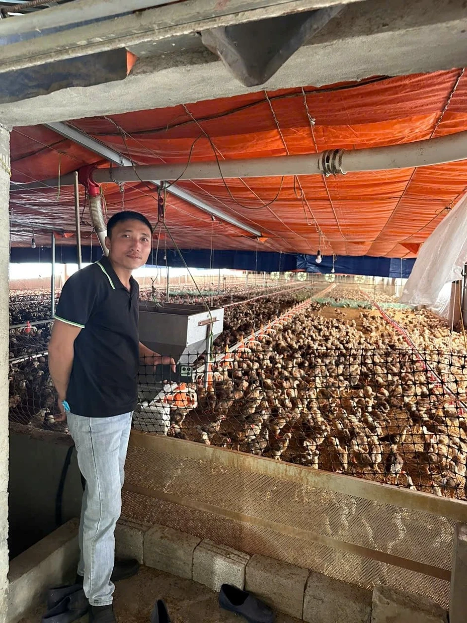 Phát triển bền vững ngành chăn nuôi gia cầm: Bài 1 - Tăng trưởng trong thử thách Phát triển bền vững ngành chăn nuôi gia cầm: Bài 1 - Tăng trưởng trong thử thách