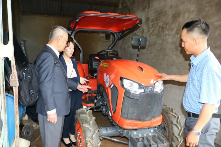 Phát triển chuỗi giá trị tỏi Sanuki tại Nghệ An, tạo sinh kế bền vững Phát triển chuỗi giá trị tỏi Sanuki tại Nghệ An, tạo sinh kế bền vững