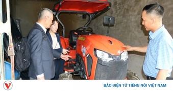 Phát triển chuỗi giá trị tỏi Sanuki tại Nghệ An, tạo sinh kế bền vững