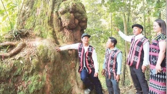 Phát triển kinh tế dưới những tán rừng