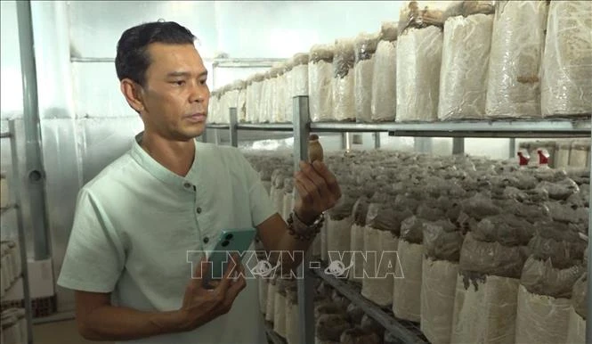 Phát triển nông nghiệp hiện đại trong thời đại số Phát triển nông nghiệp hiện đại trong thời đại số