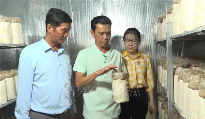 Phát triển nông nghiệp hiện đại trong thời đại số Phát triển nông nghiệp hiện đại trong thời đại số