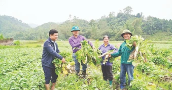 Phát triển toàn diện nông thôn ở Thái Nguyên