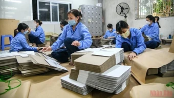 Phê duyệt Đề án chuyển đổi số các doanh nghiệp nhỏ và vừa