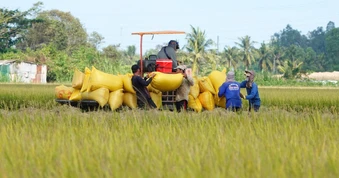 Philippines điều tra tự vệ, gạo Việt có bị ảnh hưởng?