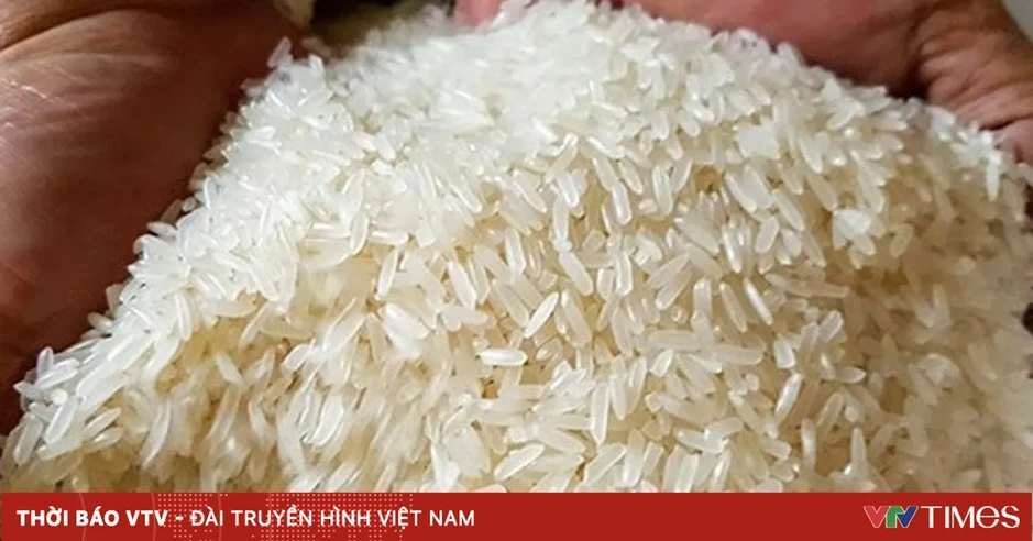 Philippines dự kiến nhập kỷ lục 5,7 triệu tấn gạo Philippines dự kiến nhập kỷ lục 5,7 triệu tấn gạo