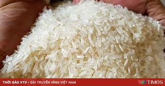 Philippines dự kiến nhập kỷ lục 5,7 triệu tấn gạo