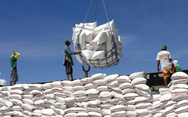 Philippines, Malaysia dẫn đầu nhập khẩu gạo Việt Philippines, Malaysia dẫn đầu nhập khẩu gạo Việt