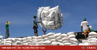 Philippines, Malaysia dẫn đầu nhập khẩu gạo Việt