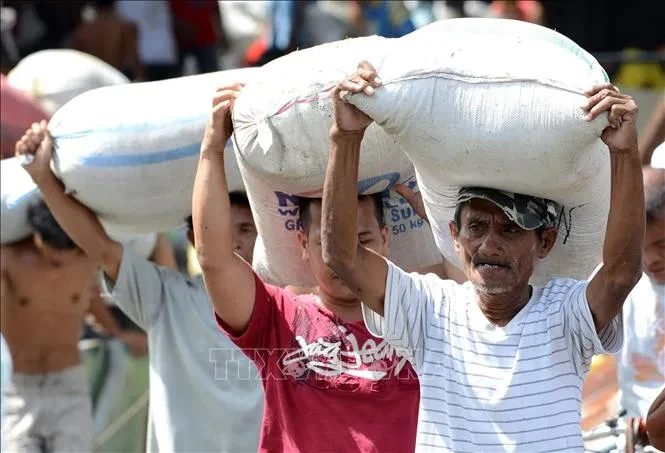 Philippines tăng cường nhập gạo Philippines tăng cường nhập gạo