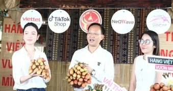 Phó chủ tịch tỉnh livestream "chốt đơn" hơn 30 tấn vải thiều