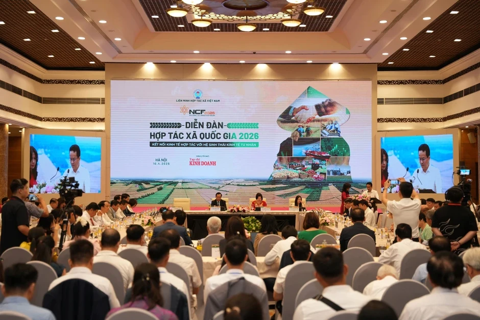 Phó Thống đốc: Hợp tác xã khó tiếp cận nguồn vốn tín dụng vì thiếu minh bạch dòng tiền Phó Thống đốc: Hợp tác xã khó tiếp cận nguồn vốn tín dụng vì thiếu minh bạch dòng tiền