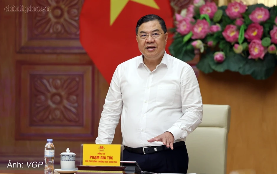 Phó thủ tướng: Rà soát doanh nghiệp nhập khẩu lớn nhưng xuất khẩu thấp