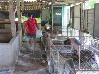 Phòng chống dịch bệnh cho đàn vật nuôi