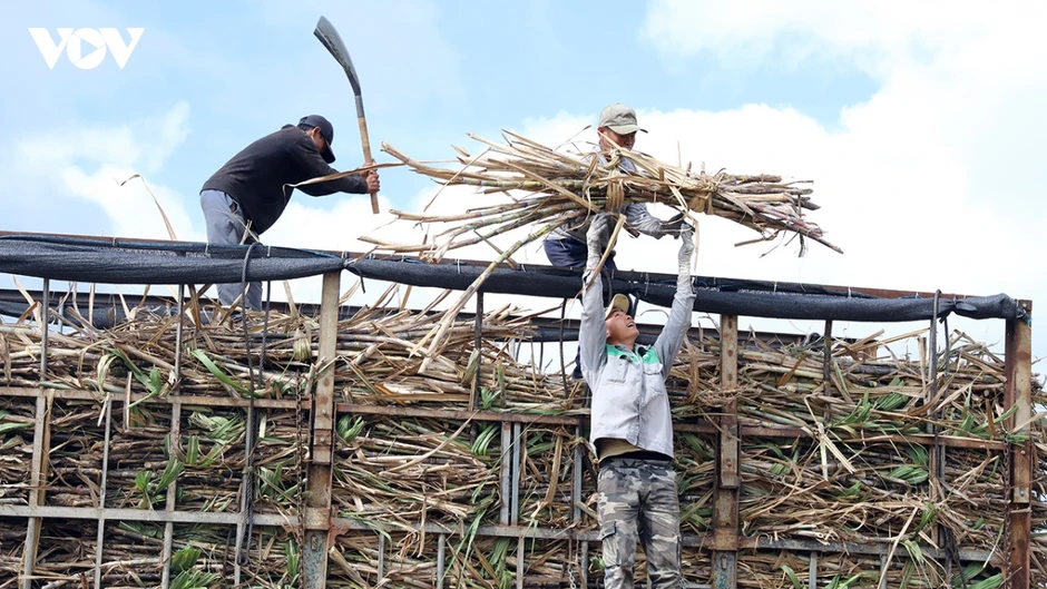 Phòng vệ thương mại kịp thời bảo vệ lợi ích chính đáng cho nhiều doanh nghiệp Phòng vệ thương mại kịp thời bảo vệ lợi ích chính đáng cho nhiều doanh nghiệp
