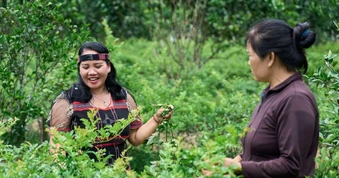 Phụ nữ và những bước chuyển xanh từ cộng đồng