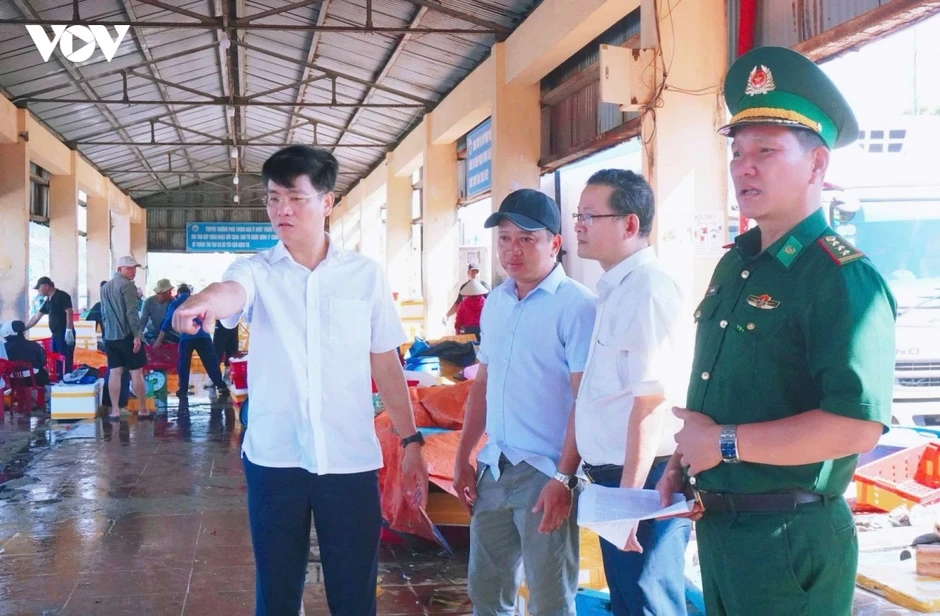 Quảng Ngãi chống khai thác IUU theo phương châm rõ người, rõ việc, rõ trách nhiệm