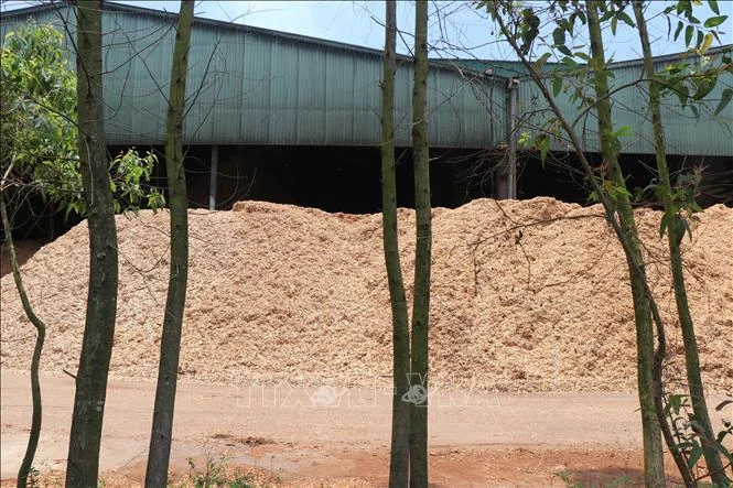 Quảng Ngãi: Dừng hoạt động Nhà máy Wood Pellets để khắc phục ô nhiễm khí CO Quảng Ngãi: Dừng hoạt động Nhà máy Wood Pellets để khắc phục ô nhiễm khí CO