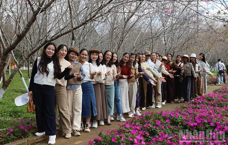 Quảng Ngãi: Phát triển các xã khu vực Măng Đen thành vùng du lịch sinh thái và nông nghiệp xứ lạnh Quảng Ngãi: Phát triển các xã khu vực Măng Đen thành vùng du lịch sinh thái và nông nghiệp xứ lạnh