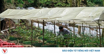 Quảng Ngãi ưu tiên nguồn lực giảm nghèo vùng đồng bào dân tộc thiểu số miền núi