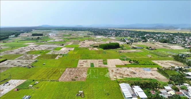 Quảng Ngãi xây dựng chuỗi giá trị nông sản bền vững từ mô hình liên kết Quảng Ngãi xây dựng chuỗi giá trị nông sản bền vững từ mô hình liên kết