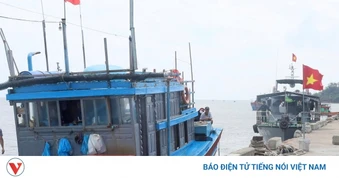 Quảng Ngãi xử phạt gần 4 tỷ đồng vi phạm khai thác IUU