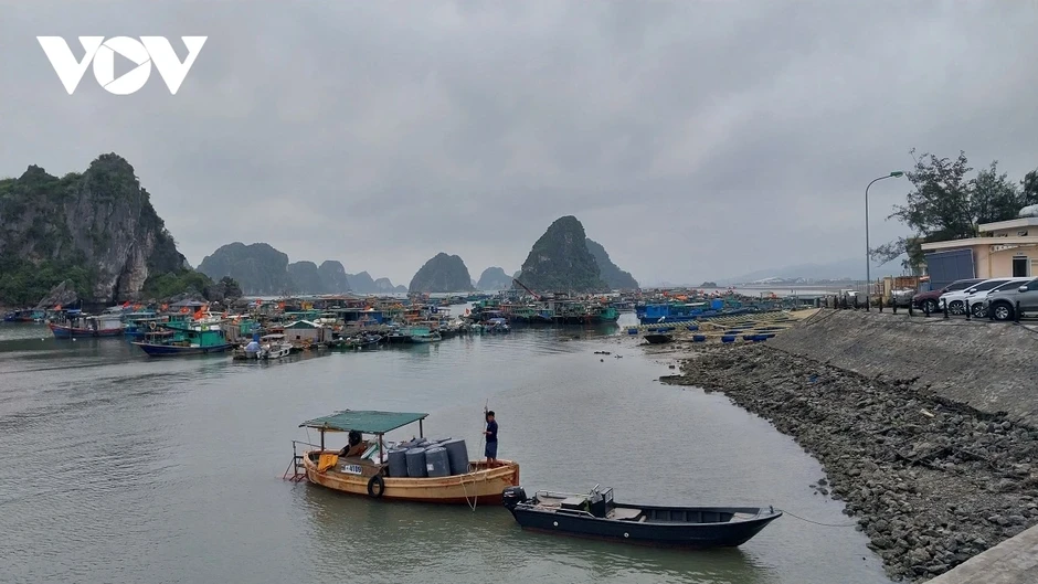 Quảng Ninh chống khai thác hải sản bất hợp pháp Quảng Ninh chống khai thác hải sản bất hợp pháp