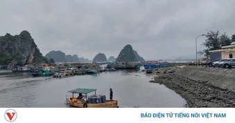 Quảng Ninh chống khai thác hải sản bất hợp pháp