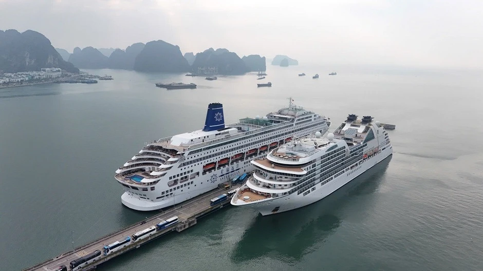 Quảng Ninh dự kiến thu hơn 15.600 tỷ đồng từ du lịch trong quý I/2026 Quảng Ninh dự kiến thu hơn 15.600 tỷ đồng từ du lịch trong quý I/2026