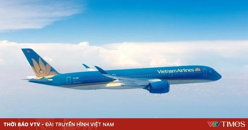Quảng Ninh tạm dừng đường bay Vân Đồn - TP Hồ Chí Minh từ ngày 1/4 Quảng Ninh tạm dừng đường bay Vân Đồn - TP Hồ Chí Minh từ ngày 1/4