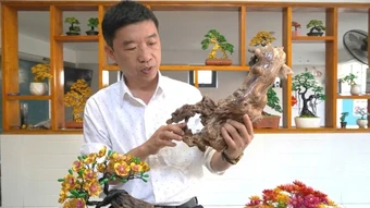 Quảng Trị công nhận 38 sản phẩm, bộ sản phẩm công nghiệp nông thôn tiêu biểu